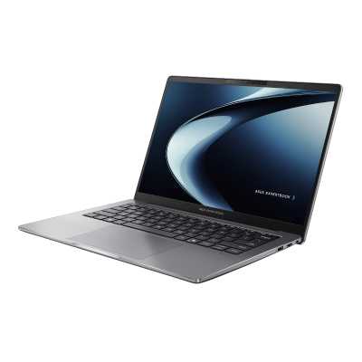 ноутбук ASUS ExpertBook P3 P3405CVA 90NX08E1-M009E0_Win11P Серый