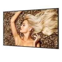 профессиональный дисплей BenQ SL5502K