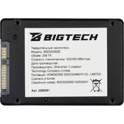SSD диск BigTech 256Gb BSDS256SE Черный