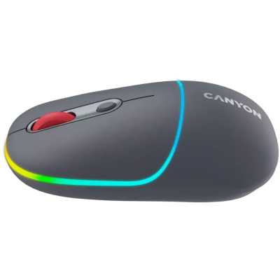 мышь Canyon MW-22 CNS-CMSW22DG Темно-серый