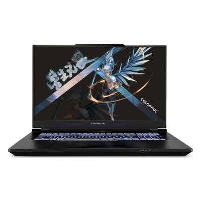 ноутбук Colorful EVOL X17 Pro Max A10003400441 Серый