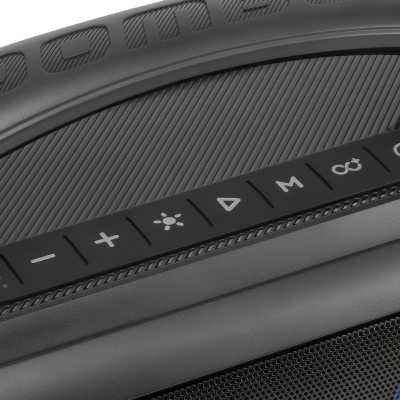 портативная колонка Digma D-PS1530 Black