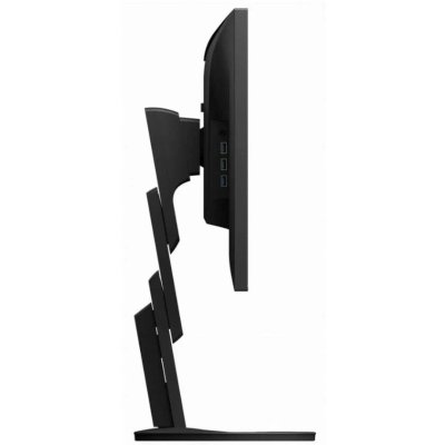 монитор Eizo FlexScan EV2495-BK Черный