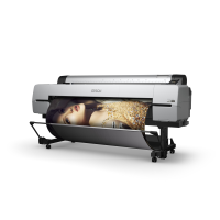 плоттер Epson SureColor SC-P20000