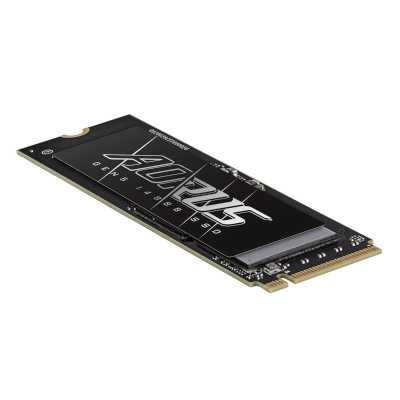 SSD диск GigaByte Aorus Gen5 14000 2Tb AG514K2TB Черный