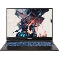 ноутбук Hasee T8-DA5NP+-wpro Черный