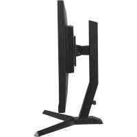 монитор Iiyama G-Master Red Eagle GB2570HSU-B1 Черный