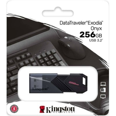флешка Kingston 256GB DTXON/256GB Черный