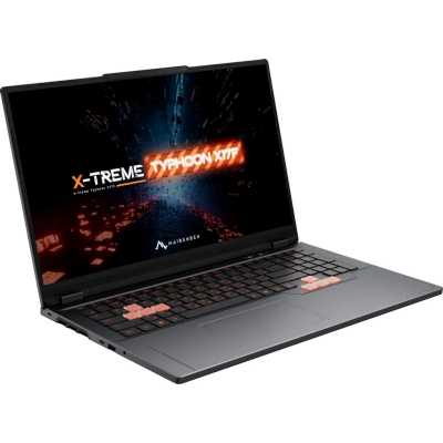 ноутбук Maibenben X17F-R774350G34LG4E10 Серый