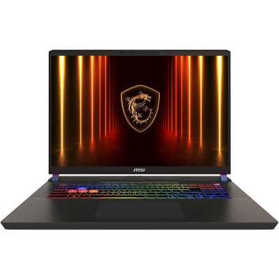 ноутбук MSI Vector 17 HX AI A2XWJG-99XRU Серый