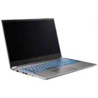 ноутбук Nerpa Caspica A752-15AC165202G Серый