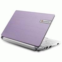 нетбук Packard Bell DOT S-E3/V-521RU Фиолетово-Белый