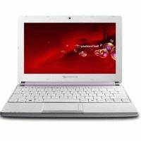 нетбук Packard Bell DOT S-E3/V-521RU Фиолетово-Белый