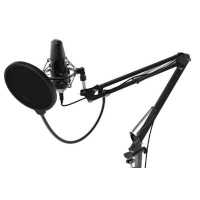 микрофон Ritmix RDM-169 Black Черный