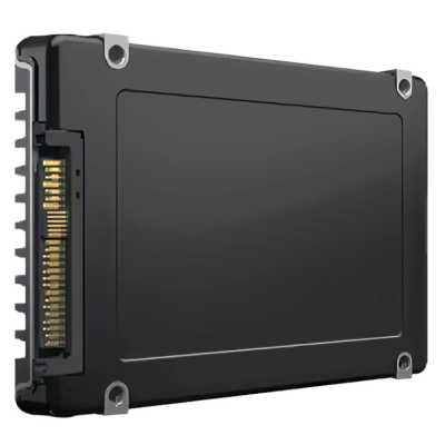 SSD диск Samsung PM9D3a 960Gb MZWL6960HFJA-00AW7 Черный
