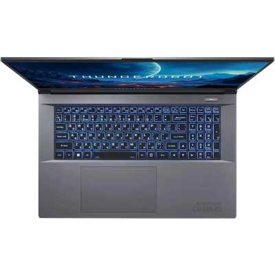 ноутбук Thunderobot 911 Plus 3D JT009L00RRU Серый